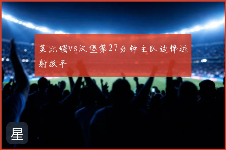 莱比锡vs汉堡第27分钟主队边锋远射扳平